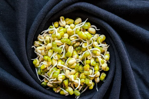 Sprouts Unleashed: 7 Reasons They’re the Ultimate Health Boosters