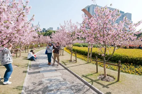 Impact of Chinese Tourist Spending on Global Tourism